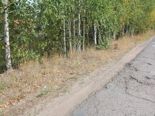 Фотография остановки 0