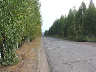 Фотография остановки 1