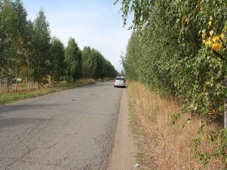 Фотография остановки 2