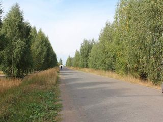 Фотография остановки 1