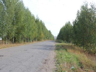 Фотография остановки 2